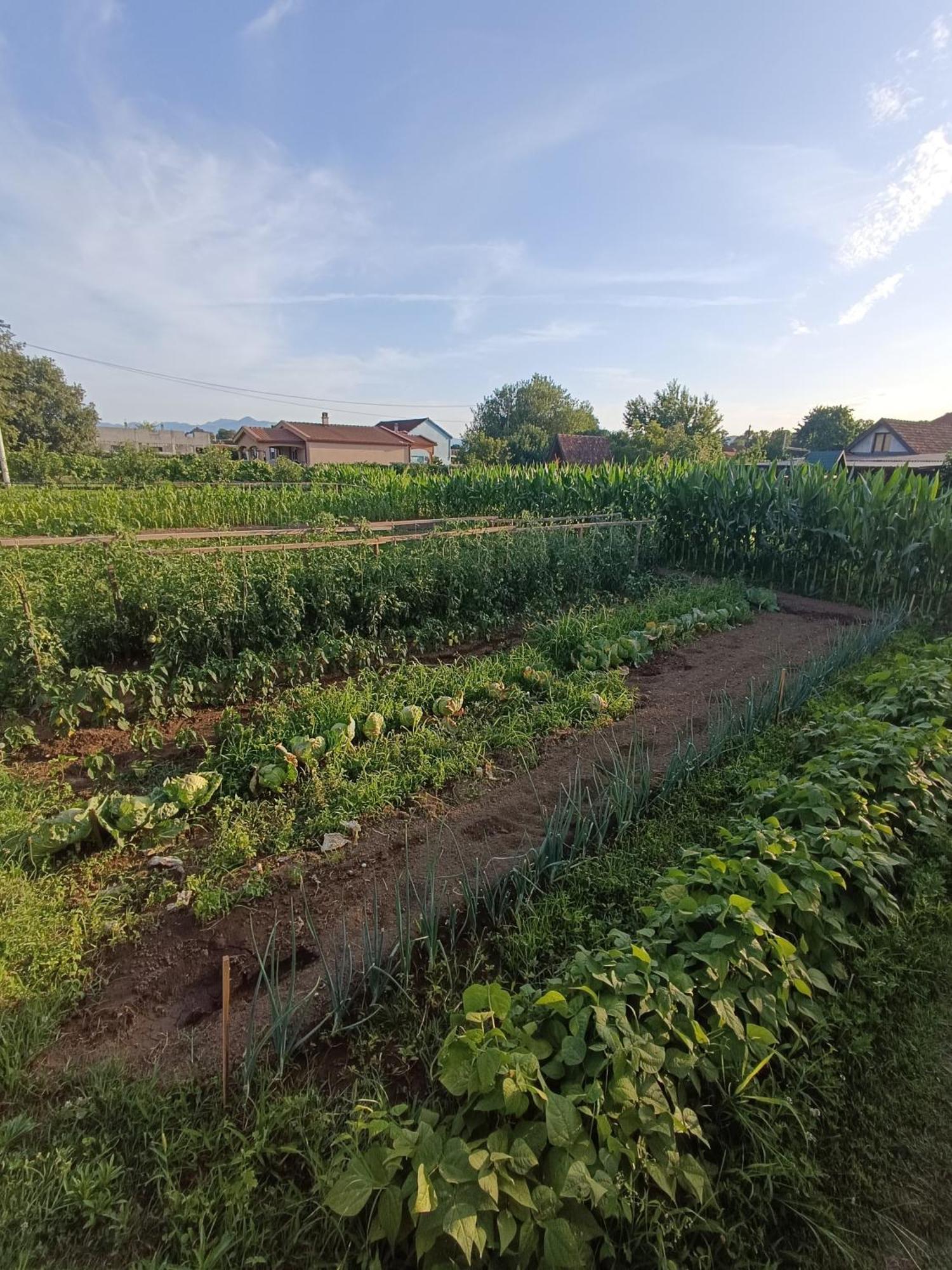 Balabani Local Stay Golubovci Zewnętrze zdjęcie